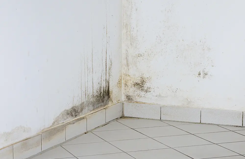Humidité dans une pièce