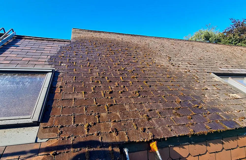 Nettoyage et démoussage d'une' toiture